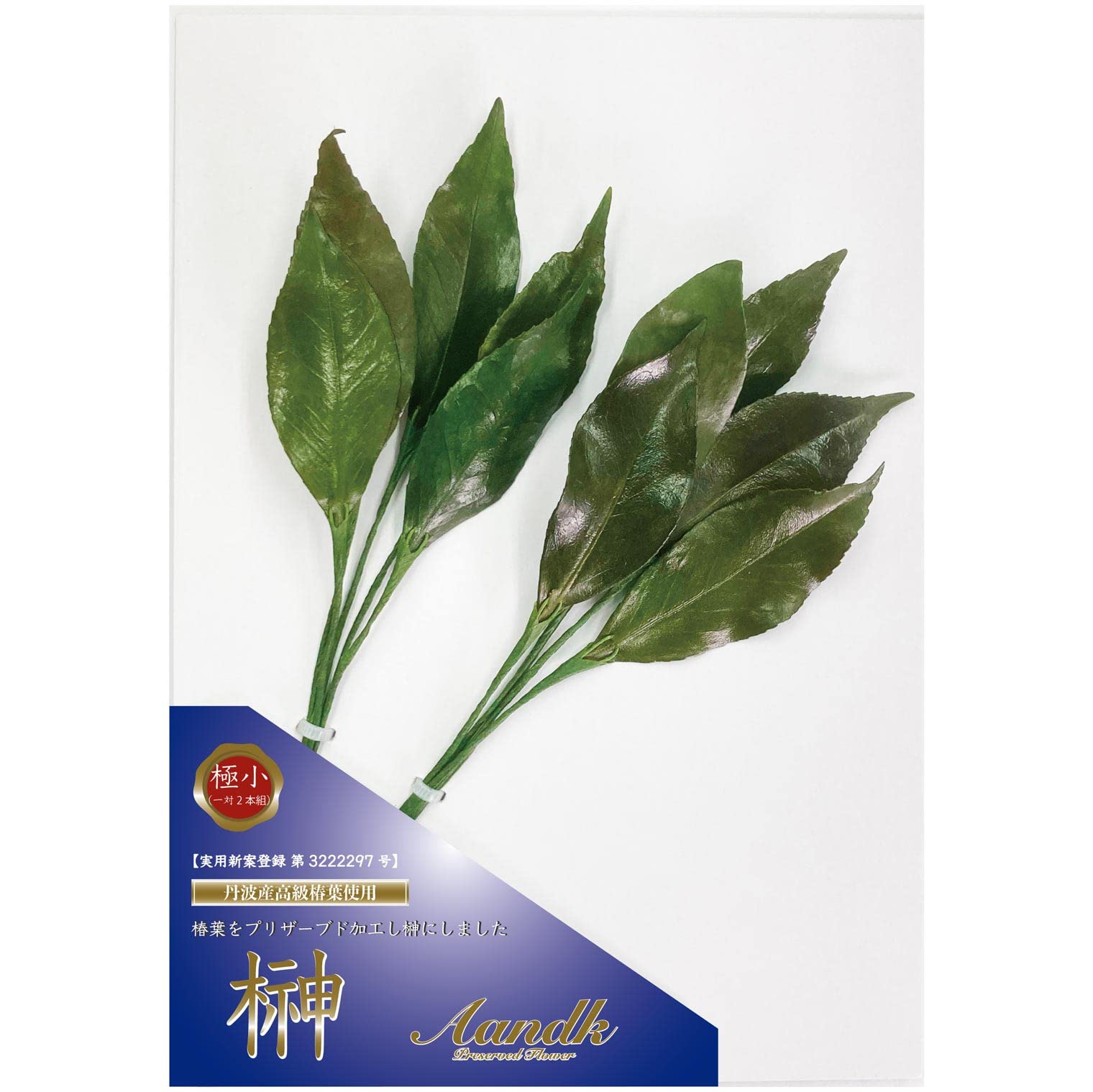 

A&K Premium Preserved Sakaki Trees (Extra Small 1 Pair Approx. 24cm Tall x 7.5cm Wide) No Water Changes Required, Maintains Beauty, Made with