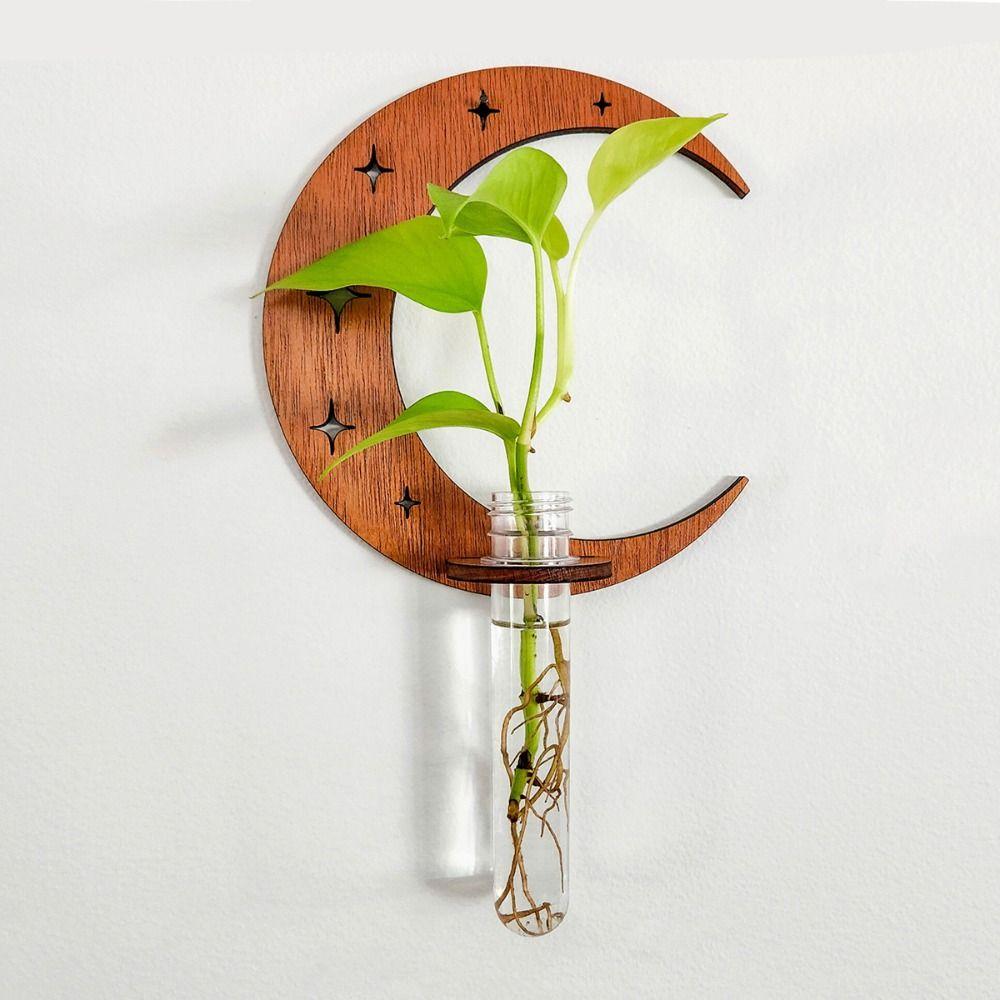 Plant Storage Rack Wall Hanging Vase Hydroponic Containe Hanging Planter  Home/Office Decor