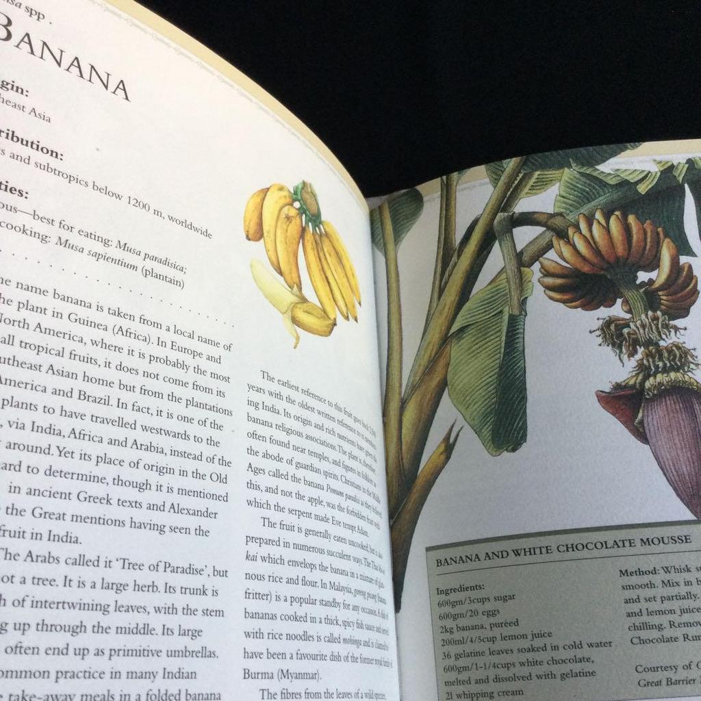 [USED] Tropical Fruits Encyclopedia Indonesia Fruits Illustrations Foreign Books English