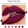 6 farger matt vanntett fløyelsleppestift Sexy rødbrune pigmenter Makeup Langvarig profesjonell leppestift