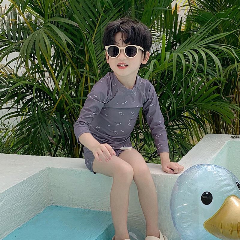 Korean Style Gray Seagull Quick-Dry Beach Swimsuit for Boys