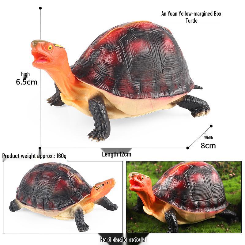 Children's Cognitive Marine Animal Models: Sea Turtle and Tortoise Toys
