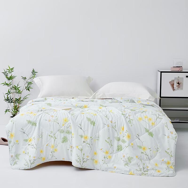 Mengjie Soft Dream Summer Quilt