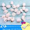 Handmade Decorative Seashells & Starfish for Fish Tanks: Landscaping, Painting, Specimens, Whelks, Hermit Crabs