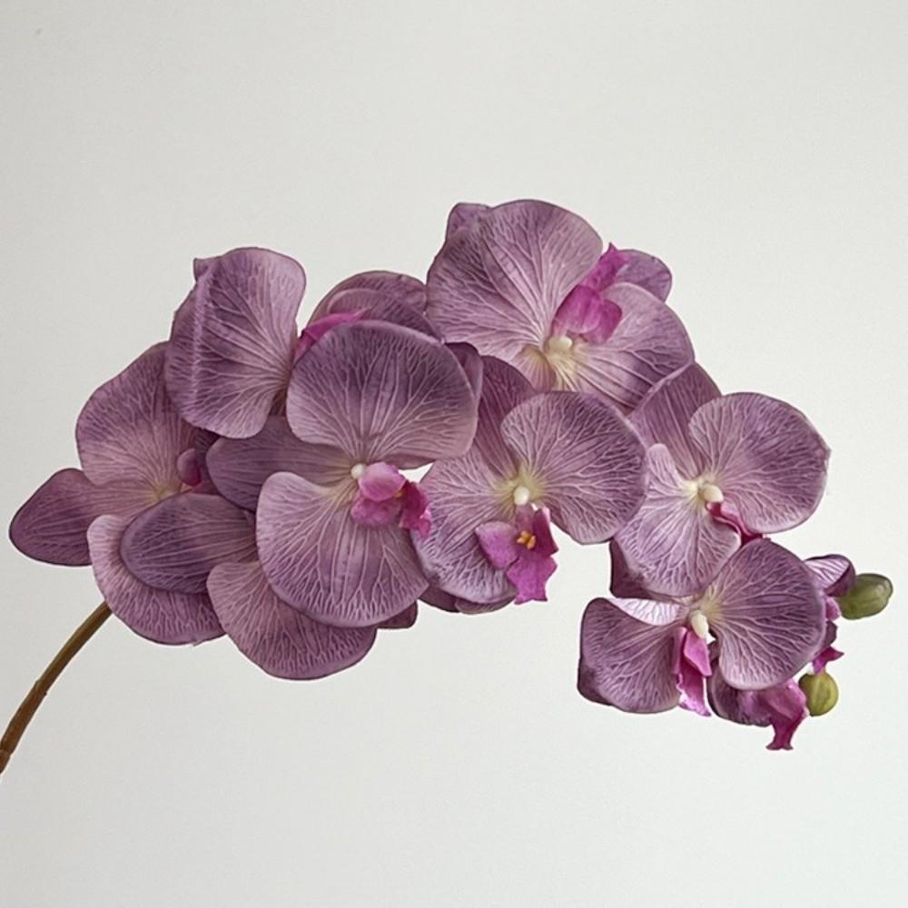 10 Blüten Künstliche Schmetterlingsorchidee Real Touch Draht Innenfutter Fake Phalaenopsis Mehrfarbig 98cm Seidenblume