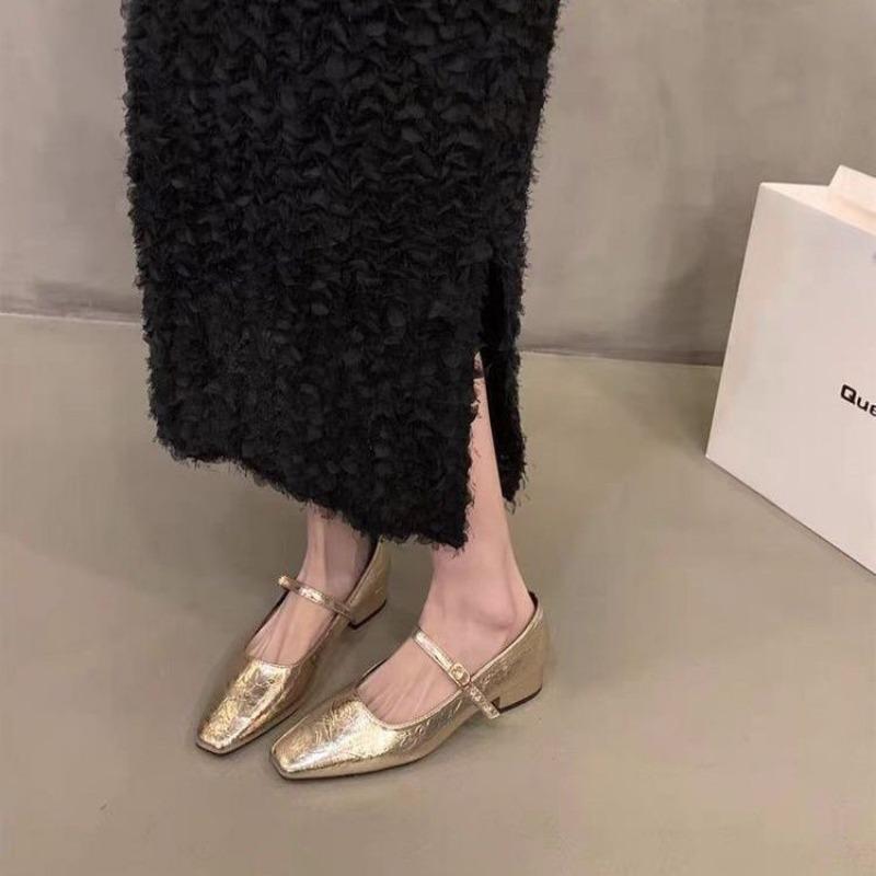 Square Head Versatile Skirt Single Shoes Women's Shoes New Spring and Autumn Thick Heel Mary Jane Single Shoes Grandma Shoes