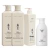 Adolph Professional Repair & Revitalizing Hair & Body Care Set