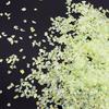Glass Crushed Stone AB Iridescence