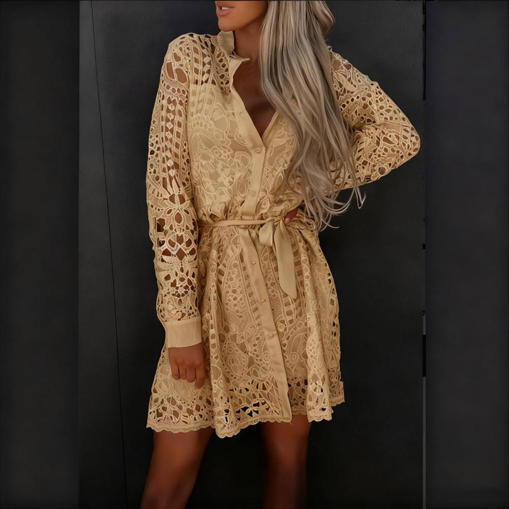 Women's Long Sleeve V Neck Hollow Out Eyelet Lace A Line Dresses