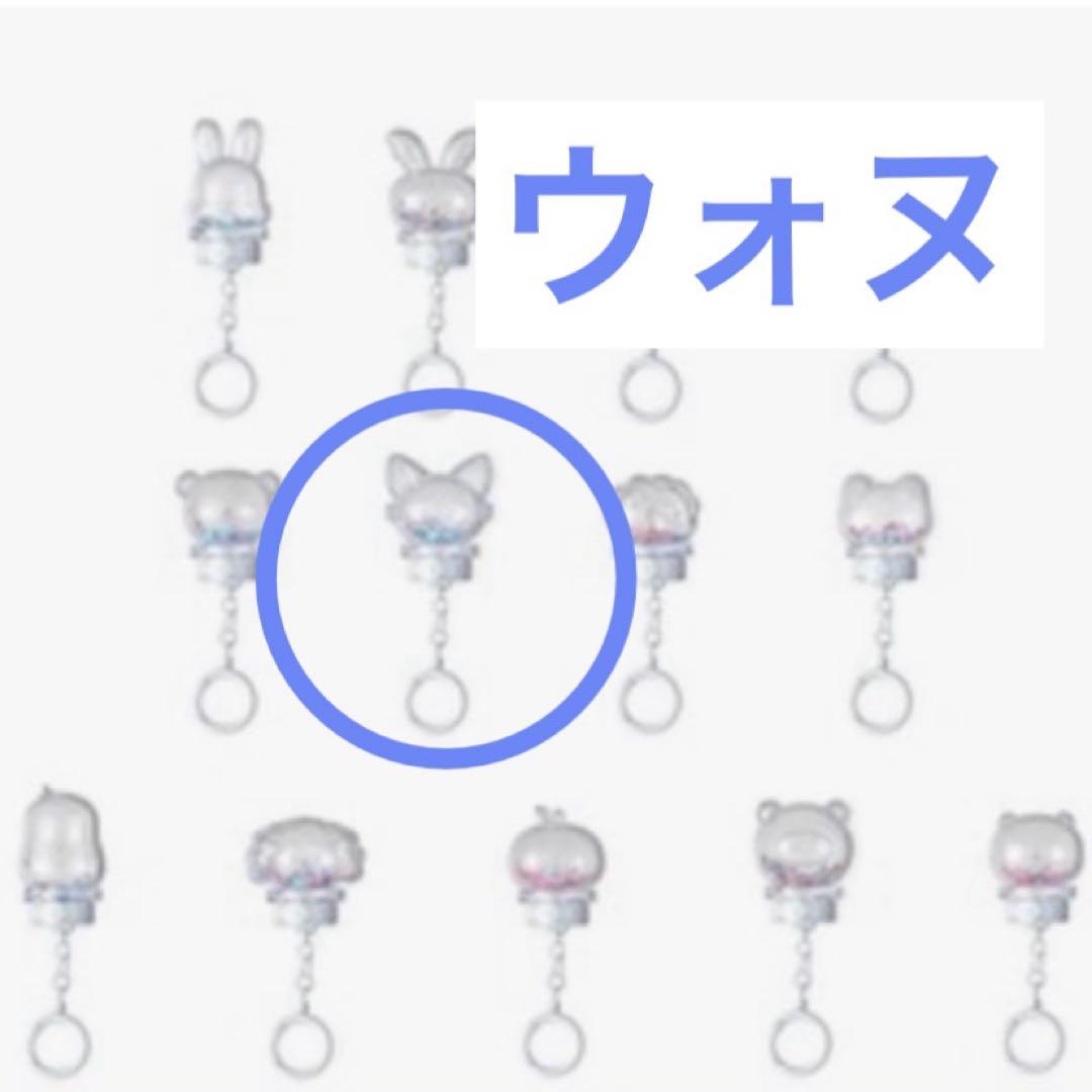 

[USED] SEVENTEEN MD Light Stick Parts Key Ring Wonwoo