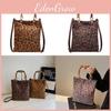 Elegant Urban Minimalist Leopard Print Crossbody Bag For Women With One Shoulder Strap Design