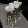 Acryl-Vasen- und Halter-Set mit herausnehmbaren Reagenzgläsern (8/12 Stück) für einzigartige Blumendisplays