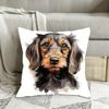 A Contemporary Style Dog Pillow Cover, Made of Soft And Smooth Polyester Short Plush Fabric, Featuring a Single-Sided Print (Pillow Insert Not Include