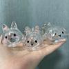 Hair Container Rabbit Hair Collector Transparent Rabbit Hair Storage Box  Jewelry Gifts