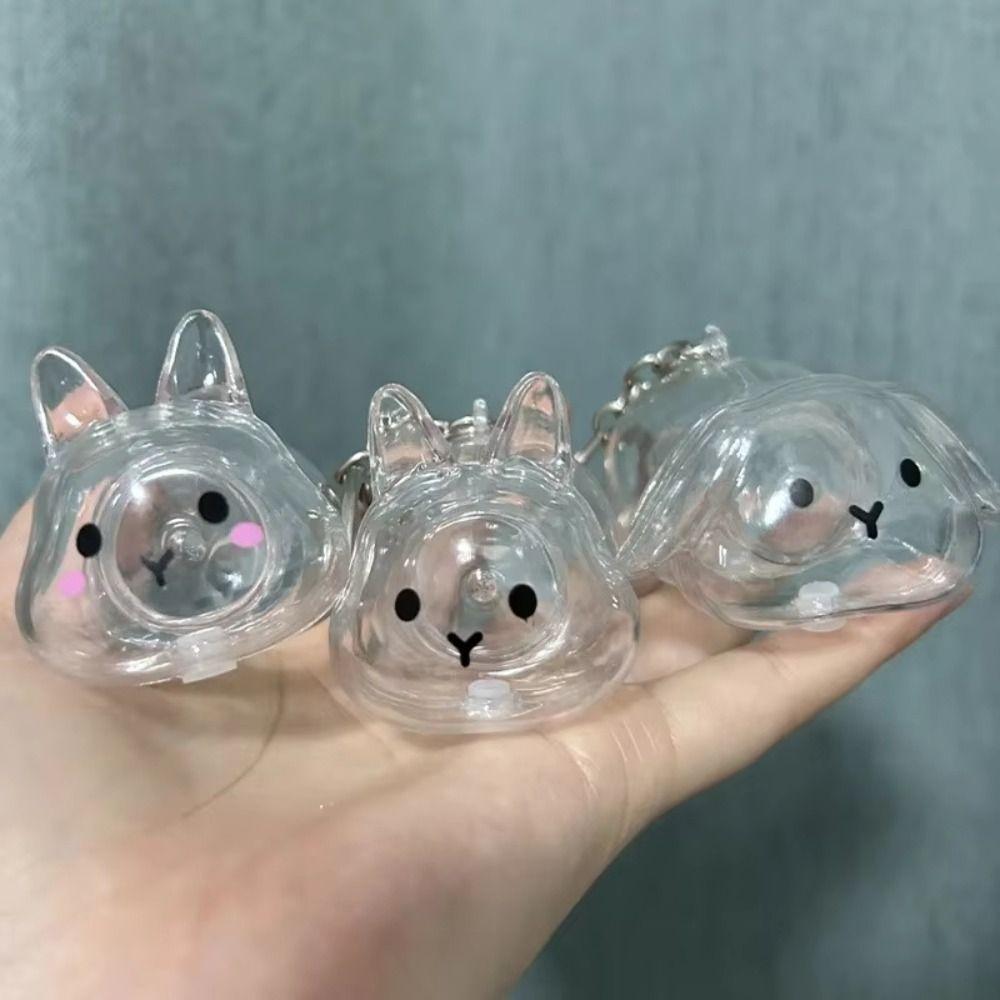 Hair Container Rabbit Hair Collector Transparent Rabbit Hair Storage Box  Jewelry Gifts