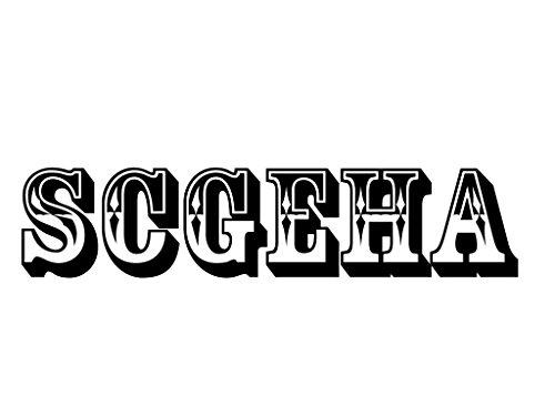 SCGEHA Camera Case, Inner Bag for SLR Cameras, Shock-Absorbing Cushioned Soft Material, Colorful and Stylish Bag-in-Bag (Orange)