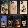 Cute Dog Yorkshire Terrier Phone Case For iPhone 16,15,14,13,12,11 Plus,Pro Max,XS,X,XR,SE,Mini,8,7,Soft Silicone Black Cover