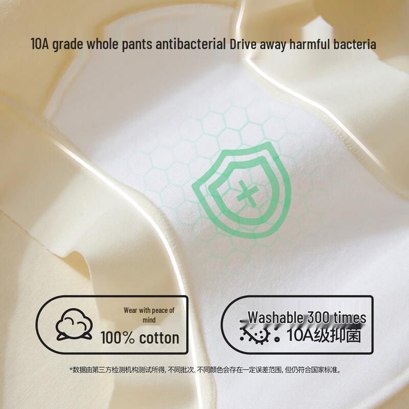 SecretWorld Women's High-Waist Cotton Antibacterial Briefs