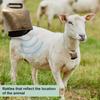 Cow Horse Sheep Grazing Copper Bells Large Thickened Cattle Sheep Copper Bells Loud Crisp Spread Farther Loud Prevent The Loss