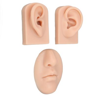 Modello 3D di Naso e Bocca Modello in Silicone di Orecchio Oggetti di Scena per Esposizione di Simulazione per Pratica di Piercing e Sutura