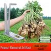 Accesorii de gătit – Ustensile pentru fructe și legume