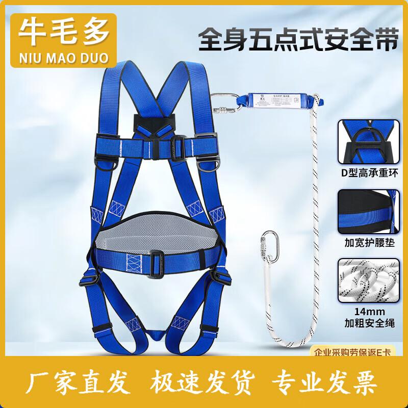 Multi-point Full Body Safety Harness