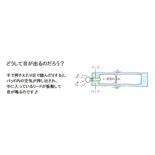 SUZUKI Chord Music Pad MP-6C - Enjoy music with your body! Set of 6 C major chords