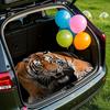 1 Pezzo Tappetino per Bagagliaio Auto con Stampa Tigre Antiscivolo Resistente Fodera per Carico per SUV Berlina Camion Protegge da Animali Domestici Copertura Protettiva