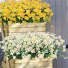 Charming Fake Daisy Flowers for Banquets Beautiful and Easy To Maintain