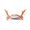 Multifunctional Weightlifting Crabs Pen Holder Desktop Organizer Pen Storage Rack  Stationery