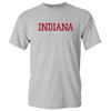 Indiana Hoosiers Basic Block - NCAA University Pride Basic Tee - Sport Grey