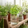 20PCS Plastic Hydroponic Seedling Pots 3 Holes Portable Colonization Cup Breathable Planting Mesh Pots Vegetable Nursery