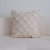 Elegant Throw Pillow Covers Textured Fringe & Embroidered Cushion Cases Boho Farmhouse Pillowcase for Living Room Couch Decor