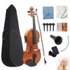 4/4 Electric Smart Violin Astonvilla  Acoustic EQ Natural Surface Maple Back Electric Violin Case Shoulder Rest Accessories