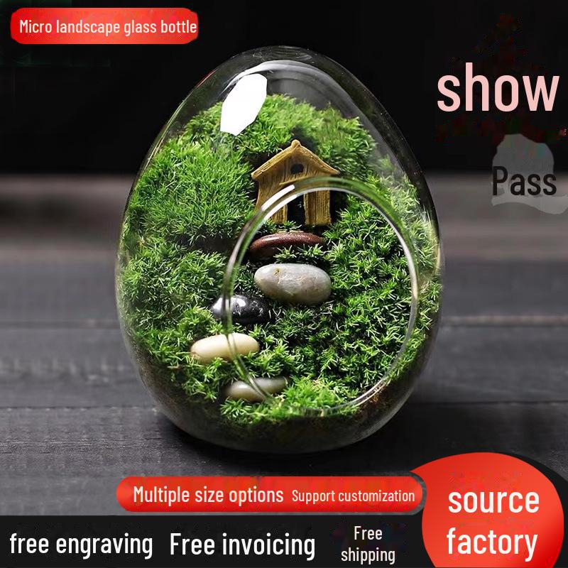 Creative Egg-Shaped Glass Terrarium for Succulents and Moss