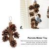 Birds Bite Toy Wooden Pine Cone Hanging Parrots Beak Grinding Toy with Metal Hook for Cage