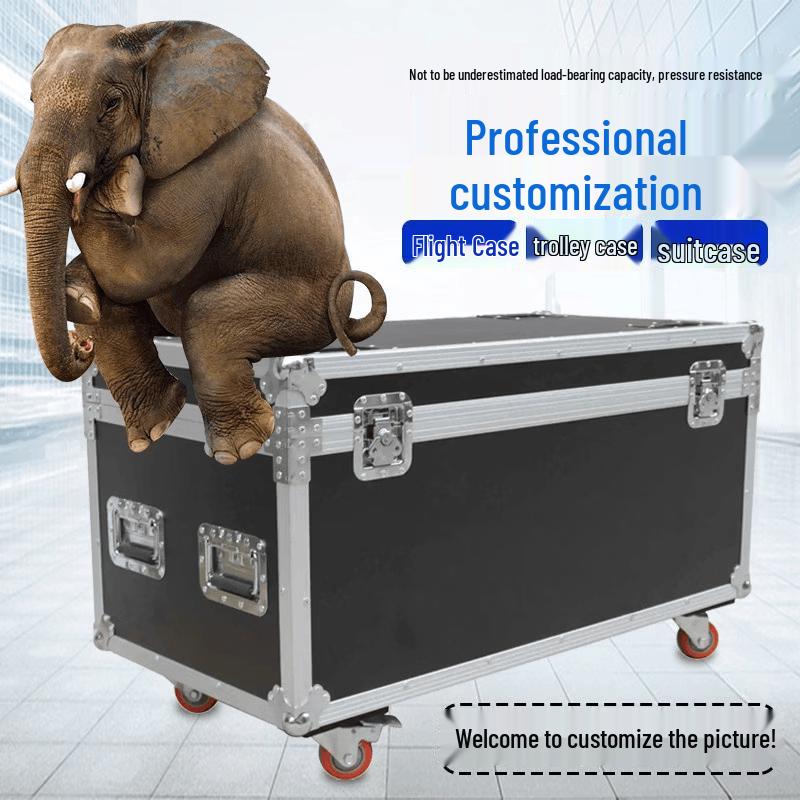 Heavy-Duty Aluminum Alloy Flight & Instrument Case