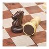 2 in 1 Chess/Checkers Set Magnetic Game Set Folding Board Convenient to Carry (Chess + Checkers Set)
