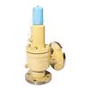 Yongyi Cast Steel Spring Full-Lift Safety Valve A42Y-10C