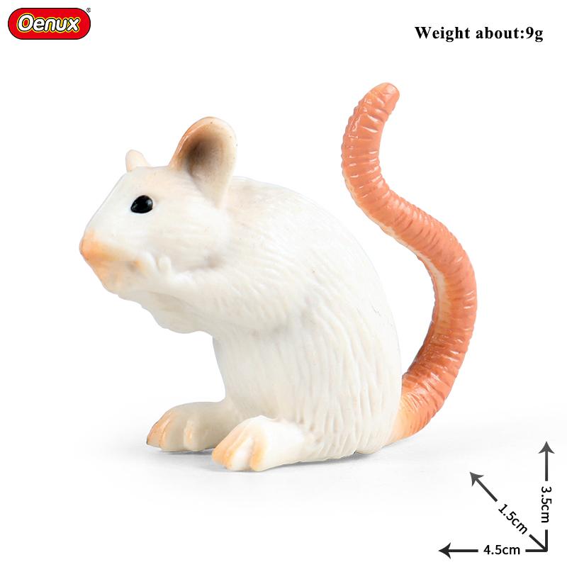 Oenux Wild Animals Simulation Rodent Marmot Mouse Model Squirrel Rat Chinchilla Action Figure Figurine Collection Cute Kid Toy