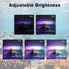 LED Aquarium Lighting System USB Powered Light with 6 Rows High Brightness Bulbs And Brightness Control for Fishtanks