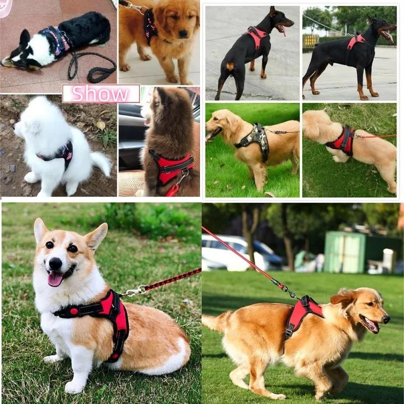 Dog Collars Choker Collar Harness Leash Gps Training Harnesses and Wears Necklaces Lanyard Big Retractable Dogs Accessory Things