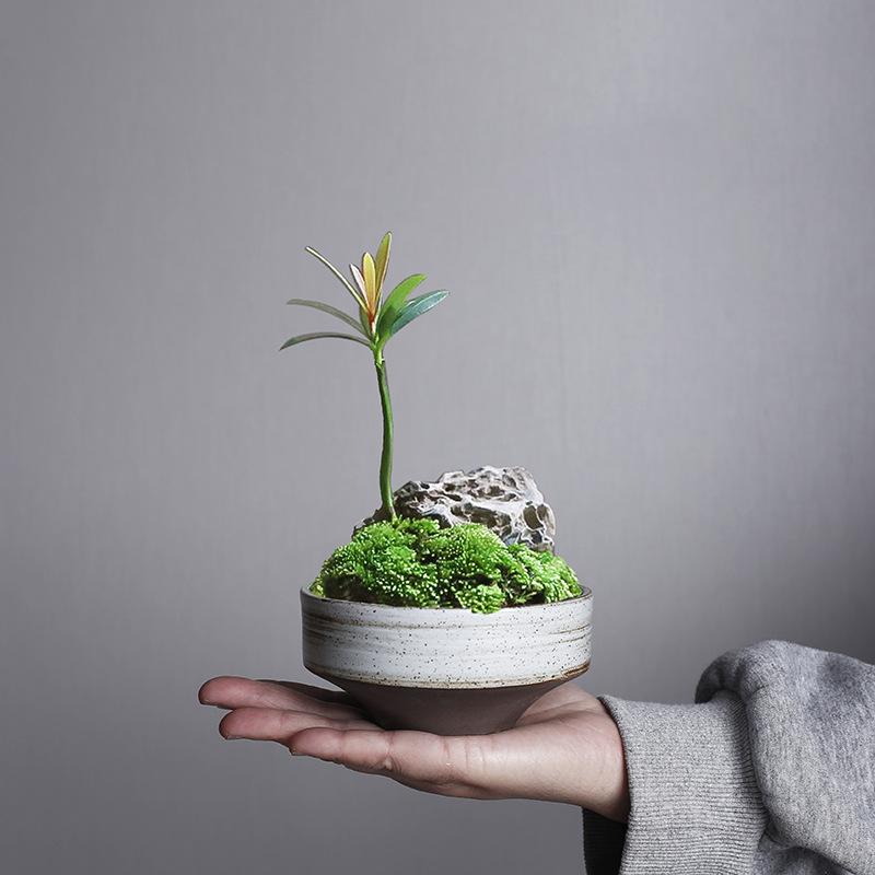 Retro Kiln Change Wenzhu Moss Ball Hydroponic Flower Pot Flower Arrangement Utensils Non-Porous Copper Coin Grass Green Dill Narcissus Pot