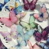 32 Pcs/Box Vibrant Butterfly Stickers - Waterproof PET Adhesive for Laptops Scrapbooks Transparent Colorful Decorative Stickers.
