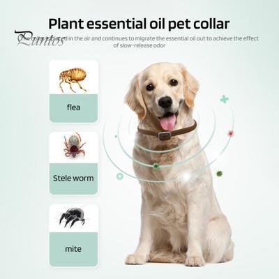 Pet Flea Collar Adjustable Flea And Tick Collar for Cats Dogs 8 Months Long-Term Protection Natural Pet Tick Collar