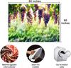 Vineyard Tapestry Grapes Clusters Wine Rustic Vintage Tapestry Wall Hangings Tapestry for Kids Bedroom Living Room Dorm Man Cave