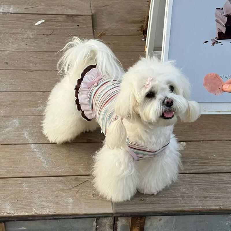 Dog clothes Autumn and winter rainbow striped dress Bigbear cat teddy Pomeranian small dog velvet pet vest