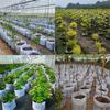 Garden Plant Planting Bag Cultivation Bag Round Cloth Pot Plant Bag Root Container Breathable Planting Planting Bag