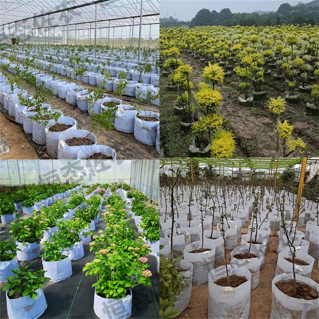 Garden Plant Planting Bag Cultivation Bag Round Cloth Pot Plant Bag Root Container Breathable Planting Planting Bag