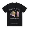 Cosa Sta Succedendo Meme Divertente Rana T-shirt Uomo Moda Vintage Magliette a Maniche Corte Unisex Alta Qualità T-shirt Oversize